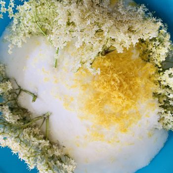Elderflower Cordial